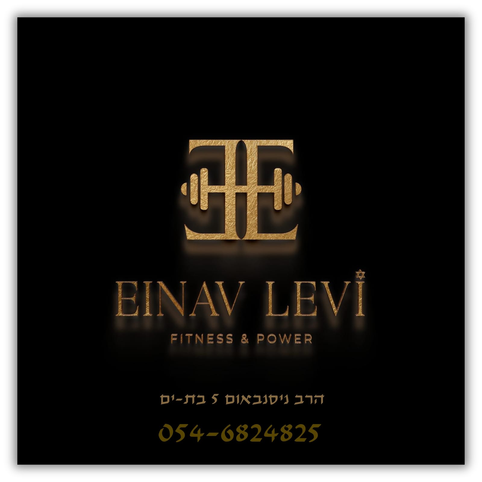 עינב לוי עינב לוי